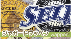 ジャガードワッペン